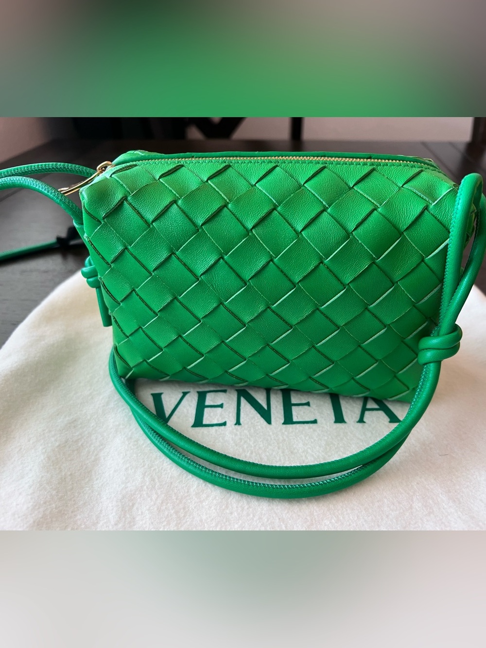 Bottega Veneta Mini Loop in Parakeet Green - Picture 6 of 16